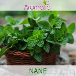 aromatic nane aromasi